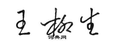 骆恒光王柳生草书个性签名怎么写