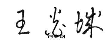 骆恒光王炎城草书个性签名怎么写