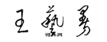 骆恒光王艺曼草书个性签名怎么写