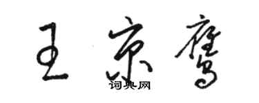 骆恒光王京鹰草书个性签名怎么写