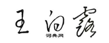 骆恒光王白露草书个性签名怎么写