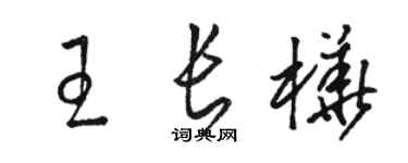 骆恒光王长桦草书个性签名怎么写