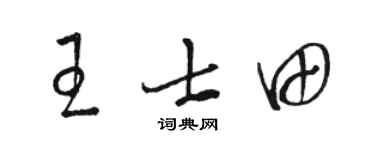 骆恒光王士田草书个性签名怎么写