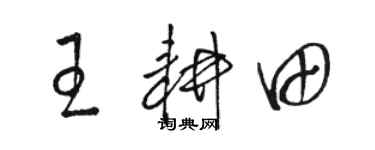 骆恒光王耕田草书个性签名怎么写