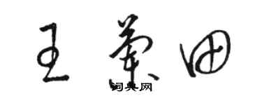 骆恒光王兰田草书个性签名怎么写