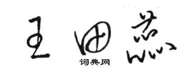骆恒光王田蕊草书个性签名怎么写