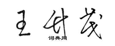 骆恒光王竹茂草书个性签名怎么写