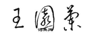 骆恒光王园兰草书个性签名怎么写