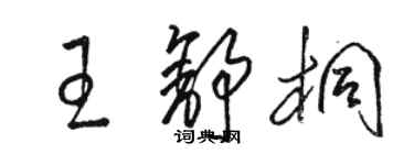 骆恒光王舒桐草书个性签名怎么写