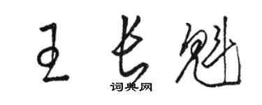 骆恒光王长魁草书个性签名怎么写