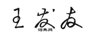 骆恒光王发友草书个性签名怎么写