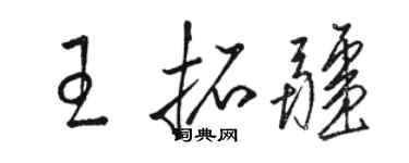 骆恒光王拓疆草书个性签名怎么写