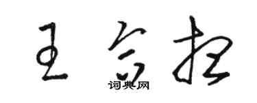 骆恒光王合想草书个性签名怎么写
