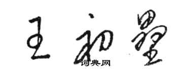 骆恒光王初垒草书个性签名怎么写