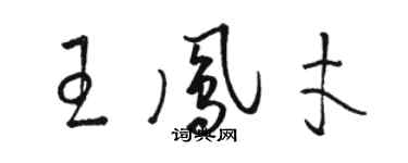 骆恒光王凤才草书个性签名怎么写