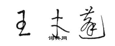 骆恒光王才蓬草书个性签名怎么写