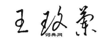 骆恒光王玫兰草书个性签名怎么写