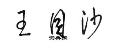 骆恒光王目沙草书个性签名怎么写