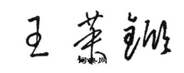 骆恒光王茉锨草书个性签名怎么写