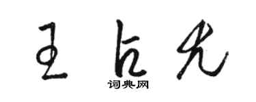 骆恒光王占尤草书个性签名怎么写