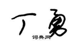 朱锡荣丁勇草书个性签名怎么写