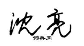 朱锡荣沈亮草书个性签名怎么写