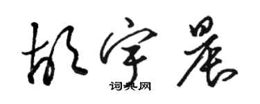 骆恒光胡宇晨草书个性签名怎么写