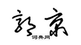 朱锡荣郭京草书个性签名怎么写