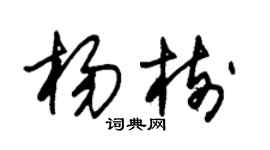 朱锡荣杨树草书个性签名怎么写