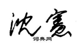 朱锡荣沈宪草书个性签名怎么写