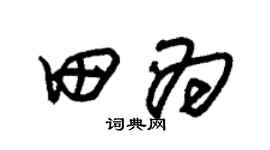 朱锡荣田为草书个性签名怎么写