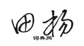 骆恒光田杨草书个性签名怎么写