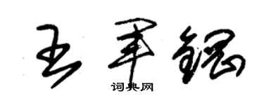 朱锡荣王军钢草书个性签名怎么写