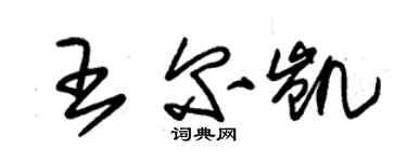 朱锡荣王尔凯草书个性签名怎么写