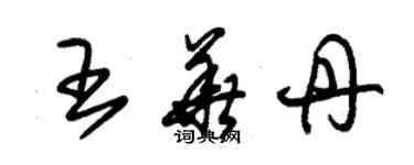 朱锡荣王华丹草书个性签名怎么写