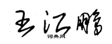 朱锡荣王江鹏草书个性签名怎么写