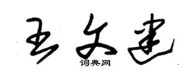 朱锡荣王文建草书个性签名怎么写