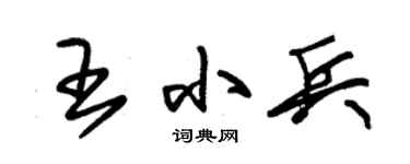 朱锡荣王小兵草书个性签名怎么写