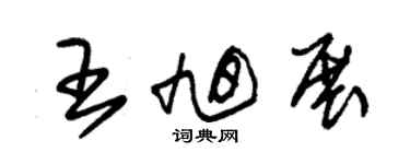 朱锡荣王旭展草书个性签名怎么写