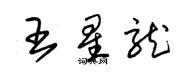 朱锡荣王星龙草书个性签名怎么写