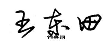 朱锡荣王东田草书个性签名怎么写