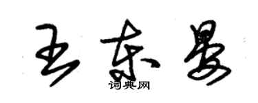 朱锡荣王东晏草书个性签名怎么写