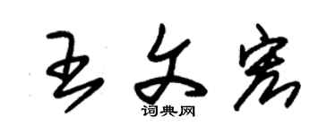 朱锡荣王文宏草书个性签名怎么写