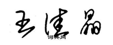 朱锡荣王佳晶草书个性签名怎么写