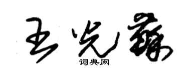 朱锡荣王光苏草书个性签名怎么写