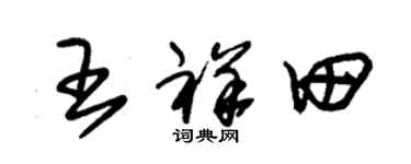 朱锡荣王祥田草书个性签名怎么写