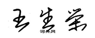 朱锡荣王生荣草书个性签名怎么写