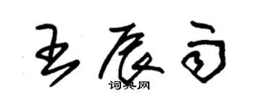 朱锡荣王辰雨草书个性签名怎么写
