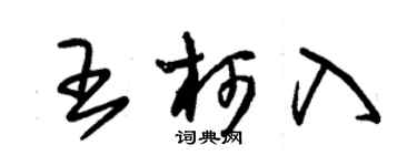 朱锡荣王柯入草书个性签名怎么写