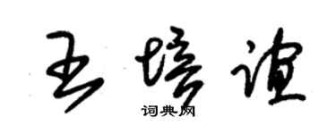 朱锡荣王培谊草书个性签名怎么写